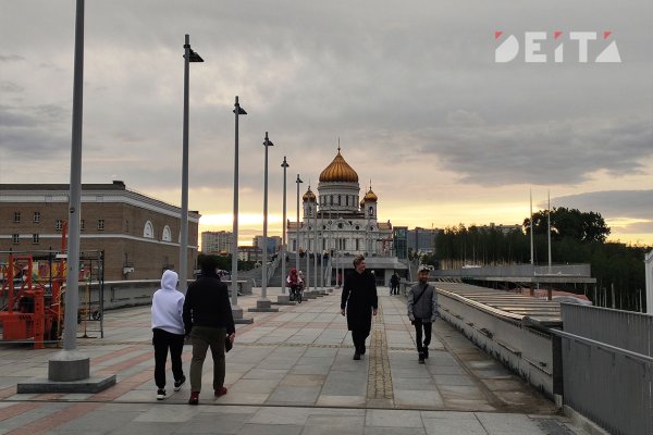 Как вернуть профиль в кракене