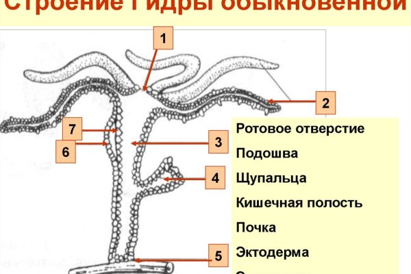 Маркет плей кракен